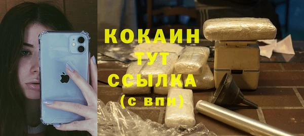 индика Магадан