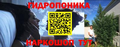 шишки Волжский