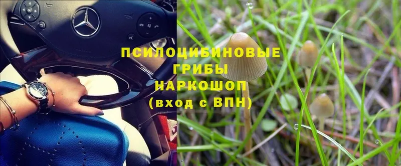 Псилоцибиновые грибы MAGIC MUSHROOMS  МЕГА ссылка  сайты даркнета как зайти  Благовещенск 