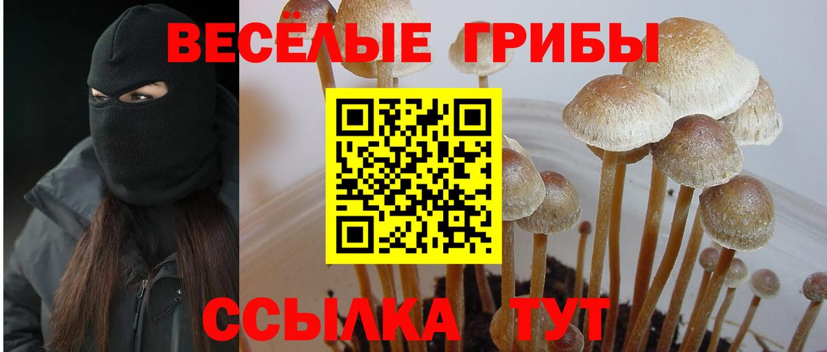 Благовещенск  продажа наркотиков  Вход с VPN  Галлюциногенные грибы MAGIC MUSHROOMS 