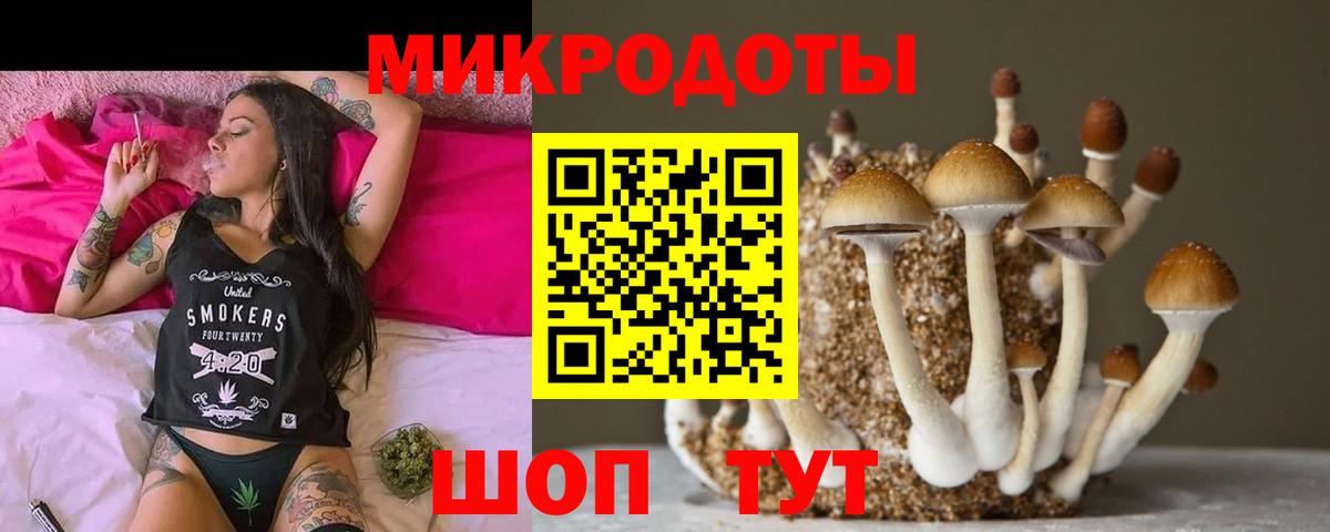 Галлюциногенные грибы мицелий Благовещенск